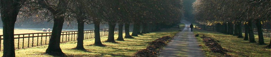 Janey's E-Learning Blog